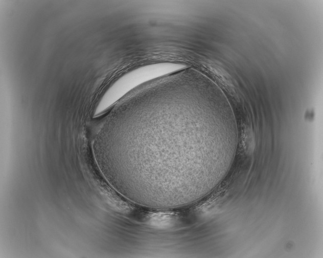 X0000093590461200710291126