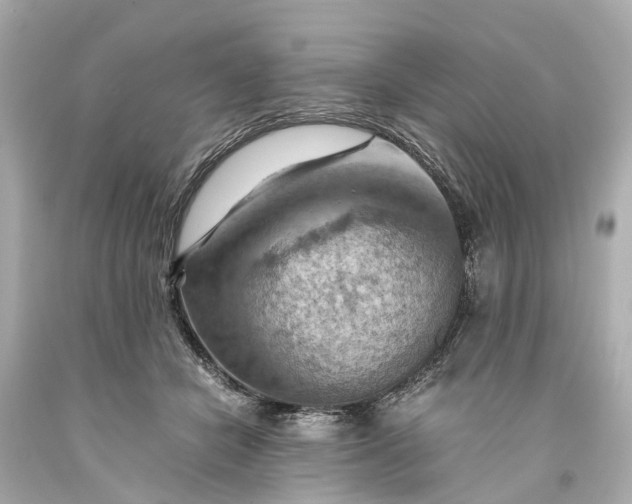X0000093590462200710291126