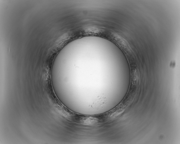 X0000093590463200710291126