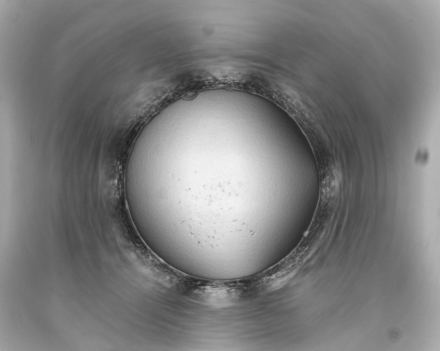 X0000093590464200710291126
