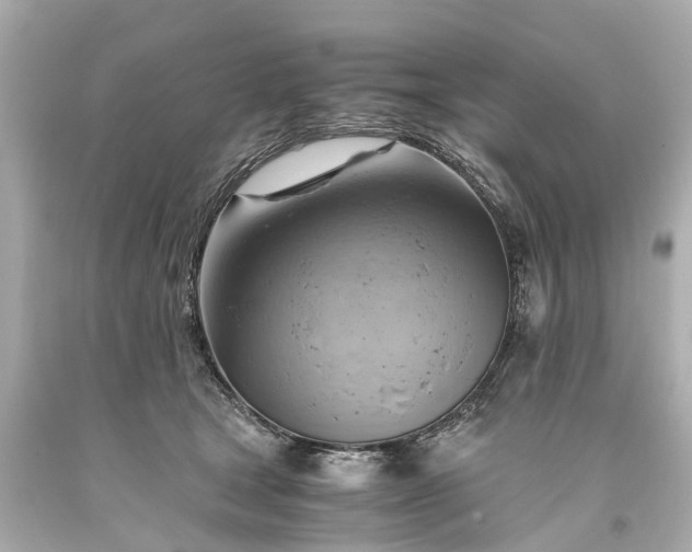 X0000093590465200710291126