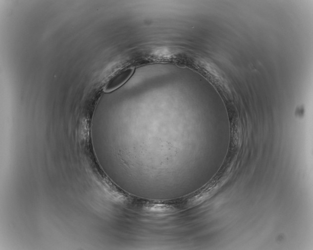 X0000093590467200710291126