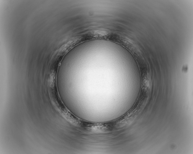 X0000093590468200710291126