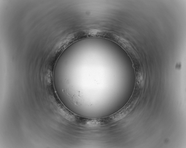 X0000093590470200710291126