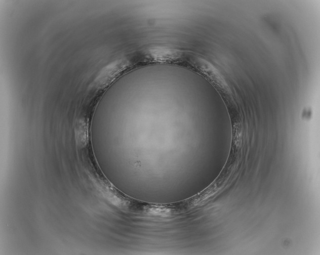 X0000093590471200710291126