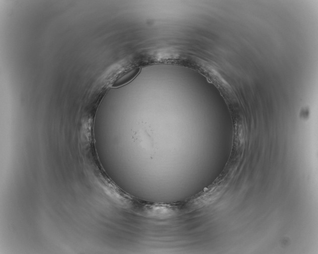 X0000093590475200710291126