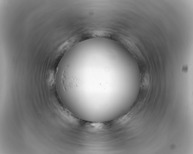 X0000093590478200710291126