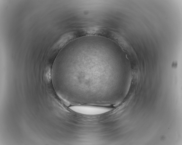 X0000093590479200710291126