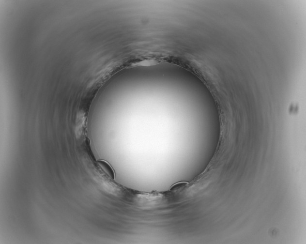 X0000093590480200710291126