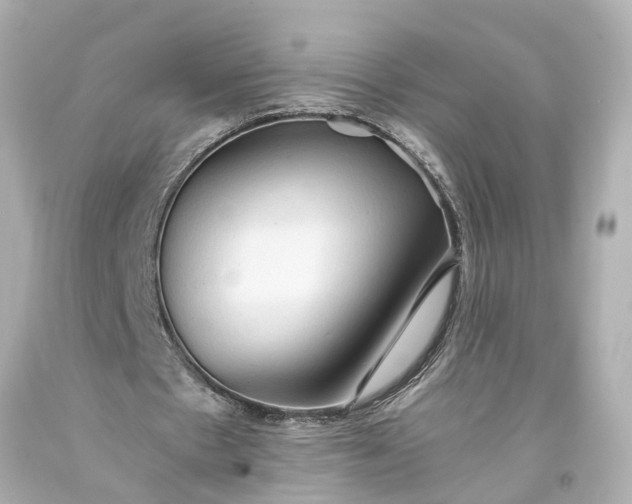 X0000093590481200710291126