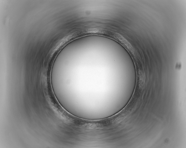 X0000093590482200710291126