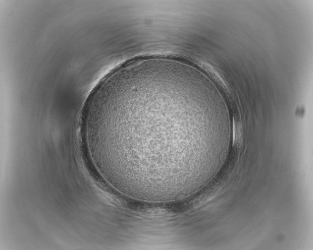 X0000093590483200710291126