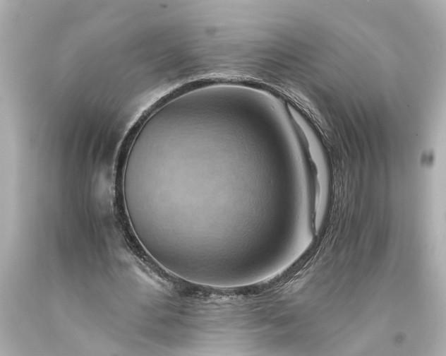 X0000093590484200710291126