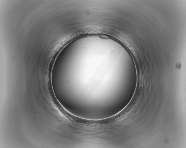 X0000093590485200710291125
