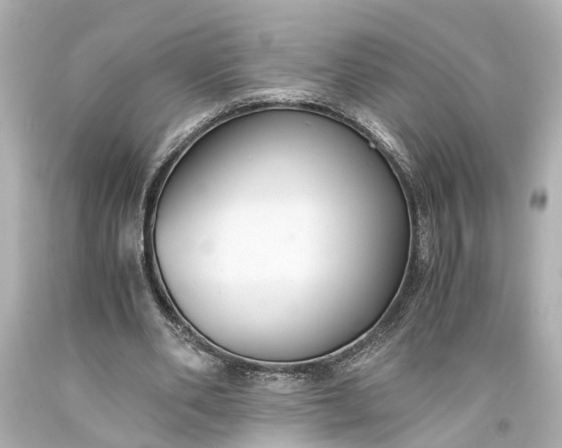 X0000093590486200710291125