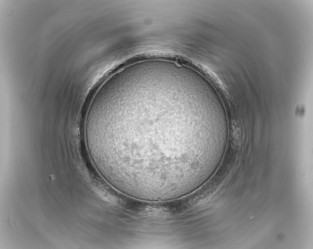 X0000093590487200710291125