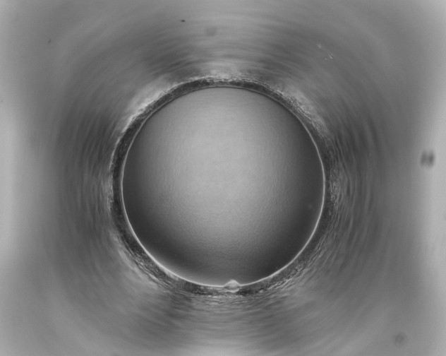 X0000093590488200710291125