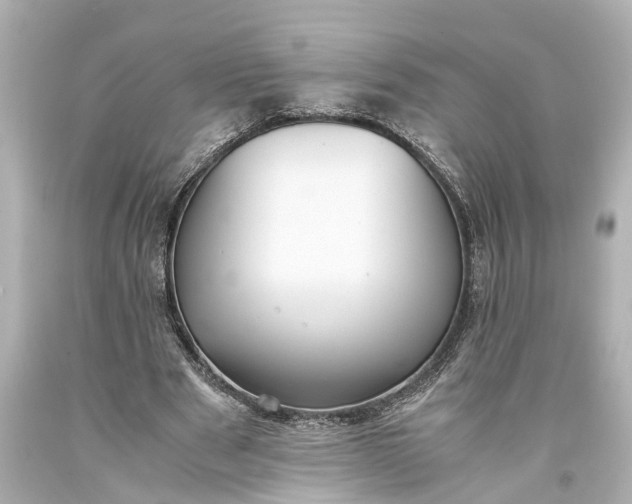 X0000093590489200710291125
