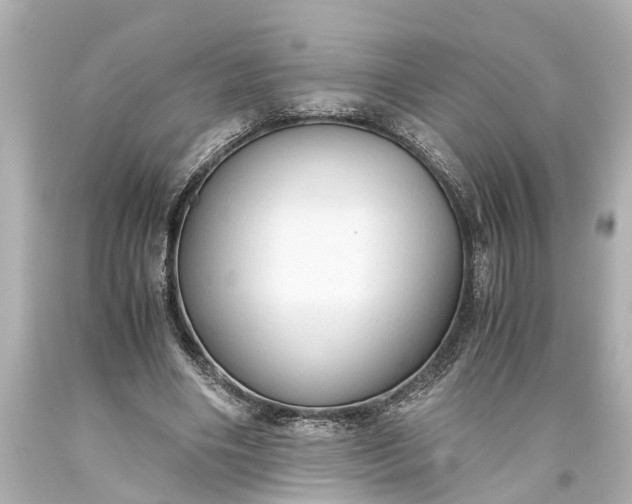 X0000093590490200710291125