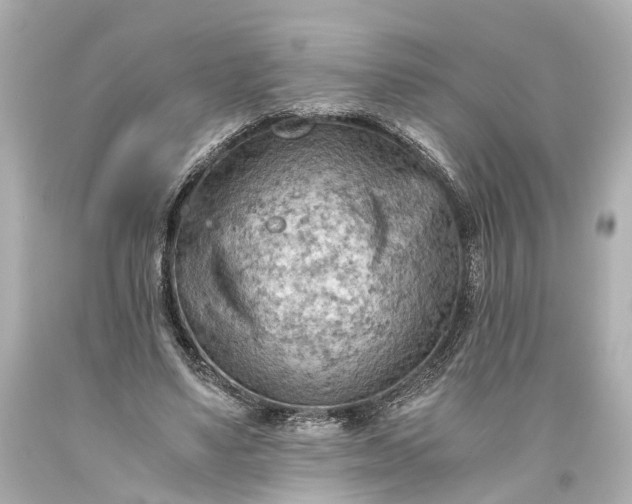 X0000093590491200710291125