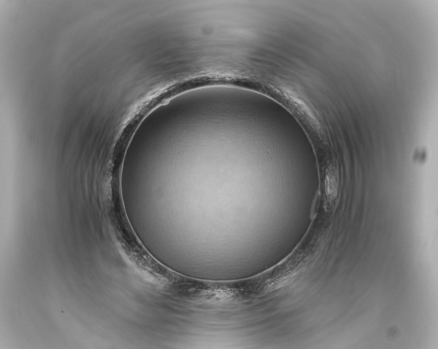 X0000093590492200710291125