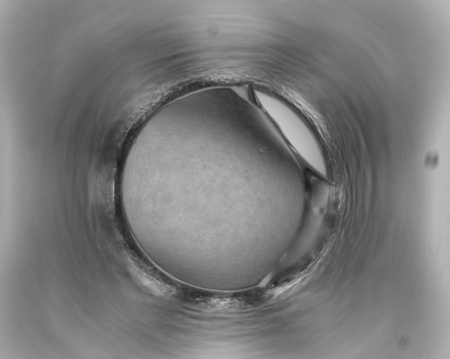 X0000093590493200710291125