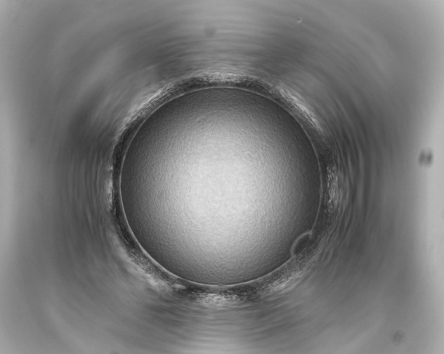 X0000093590494200710291125