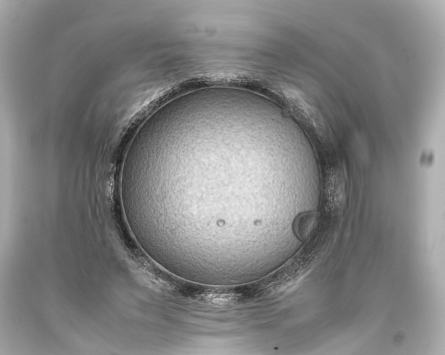 X0000093590495200710291125