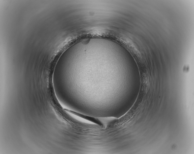 X0000093590496200710291125