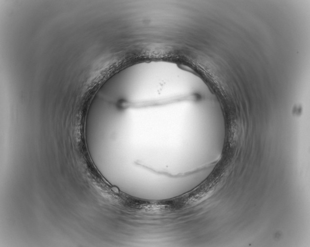 X0000093590497200710291125