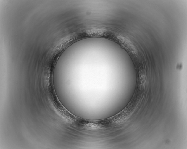 X0000093590498200710291125