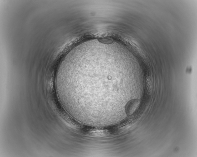 X0000093590499200710291125