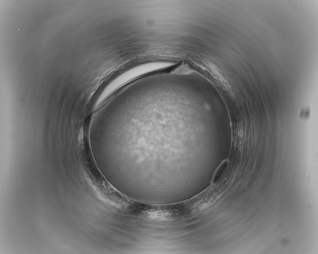X0000093590500200710291125