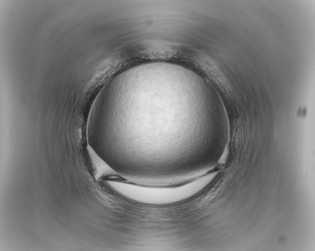 X0000093590501200710291125