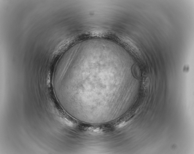 X0000093590502200710291125