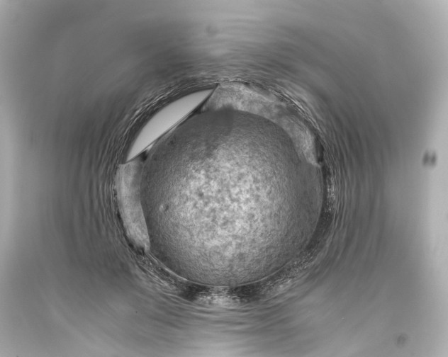 X0000093590503200710291125