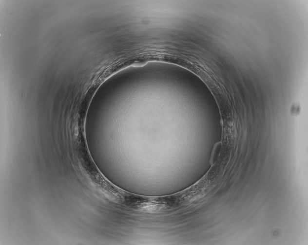 X0000093590504200710291125