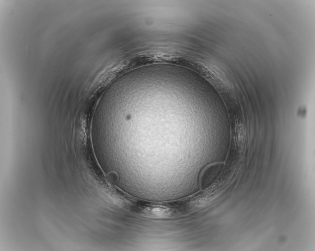 X0000093590506200710291125