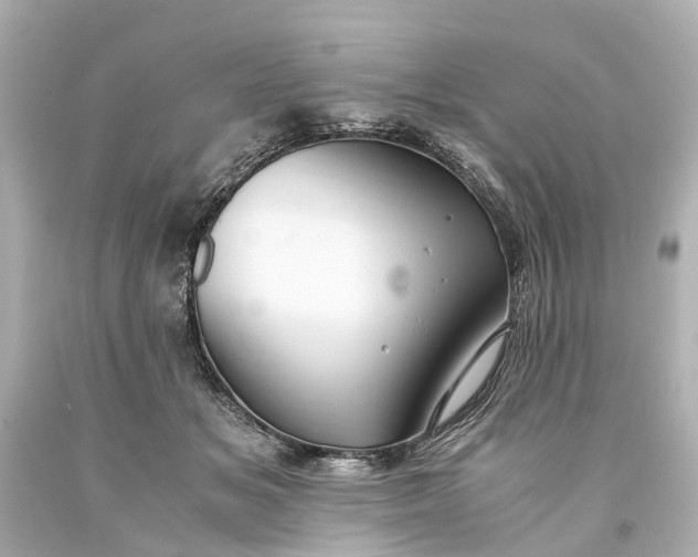 X0000093590509200710291125