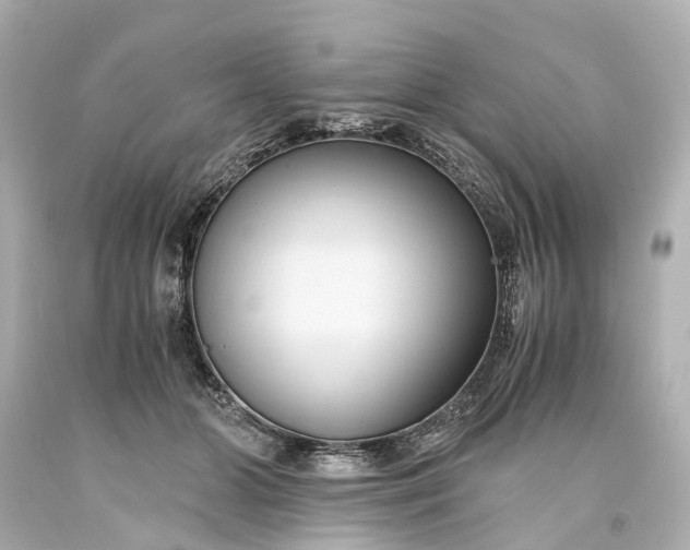 X0000093590510200710291125