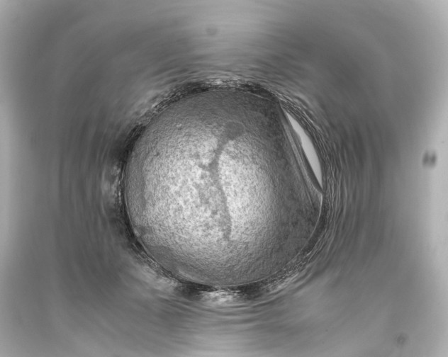 X0000093590511200710291125
