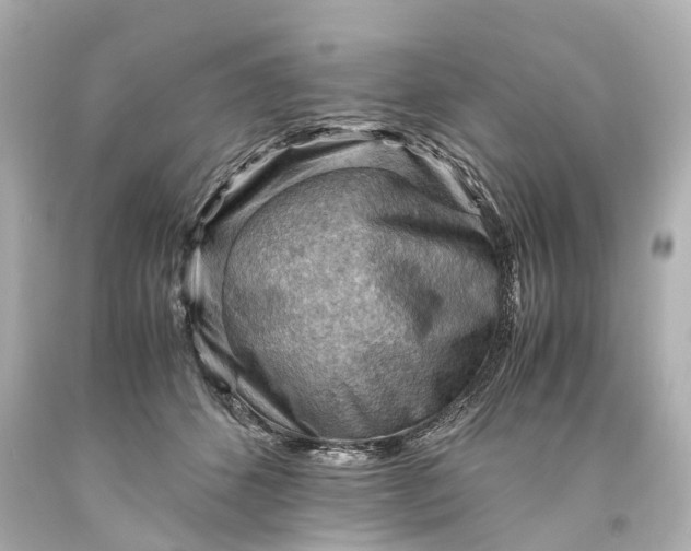 X0000093590512200710291125