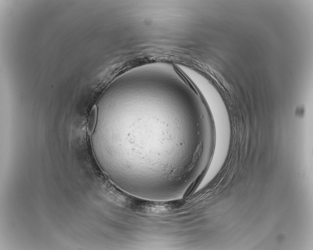 X0000093590513200710291125
