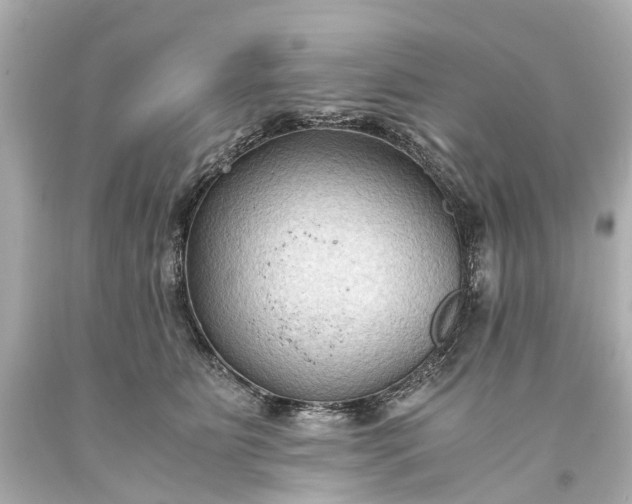 X0000093590515200710291125