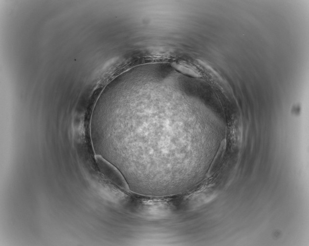 X0000093590516200710291125