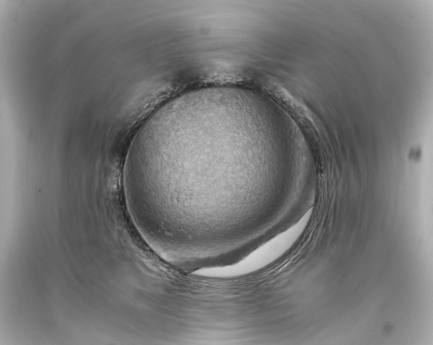 X0000093590517200710291125