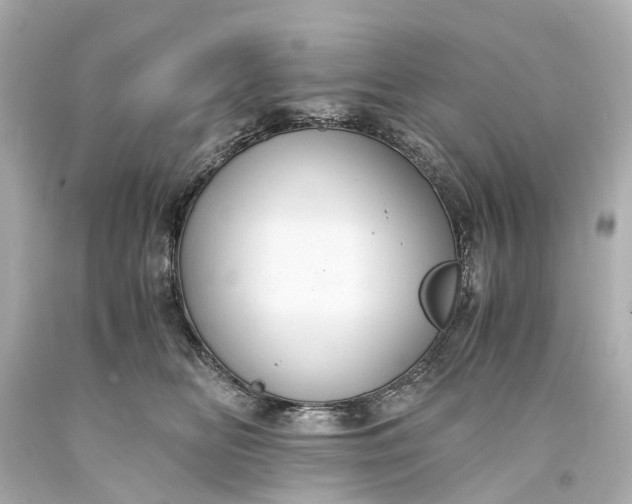 X0000093590518200710291125