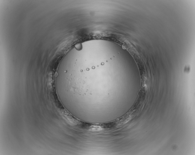 X0000093590519200710291125