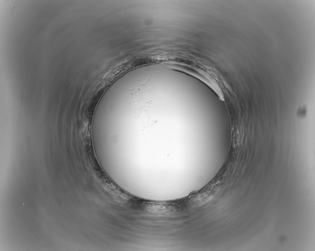 X0000093590521200710291125
