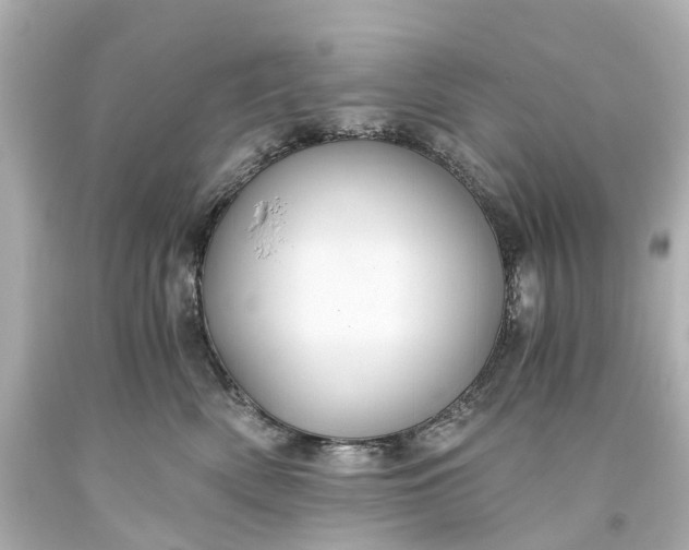 X0000093590522200710291125